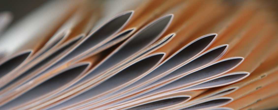 Information Booklets: Design & Make Good Informational Booklets