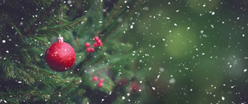 How A Perfect Bound Book Is Made